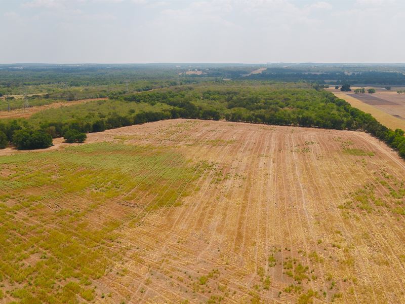 40 Acres in Milam County : Rockdale : Milam County : Texas