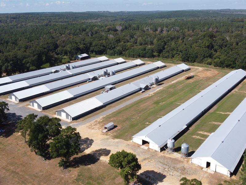 7 House Pullet Poultry Farm : Rupert : Taylor County : Georgia