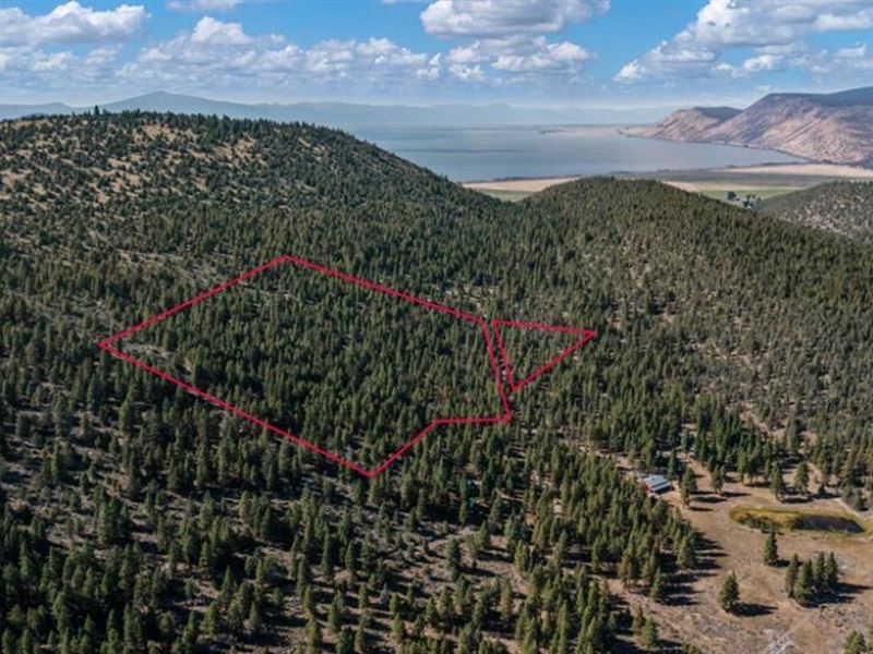 60+ Acres in Plum Valley : Klamath Falls : Klamath County : Oregon