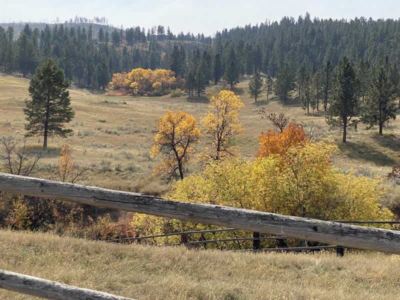 Cook Mountain Hunting Camp : Ashland : Powder River County : Montana