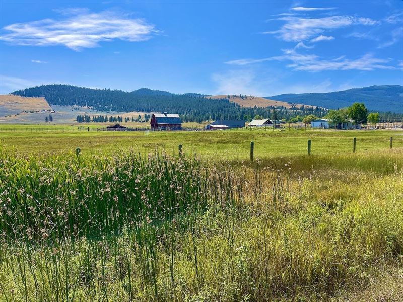 Little Lamb Ranchette : Hot Springs : Sanders County : Montana