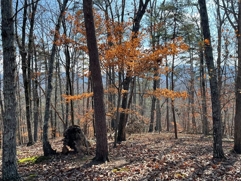 Gorgeous Views of Fort Mountain : Ranger : Gordon County : Georgia