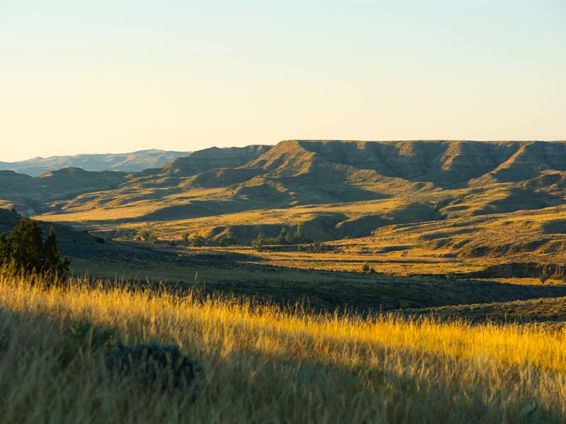 Powder River Hunting Ranch : Buffalo : Johnson County : Wyoming