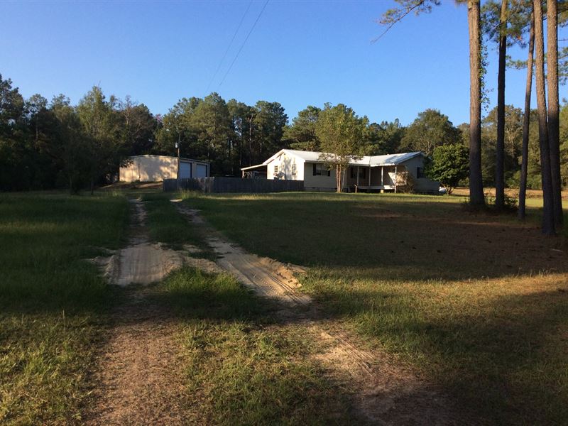 Hwy 31 House and 40 Acres : McKenzie : Butler County : Alabama