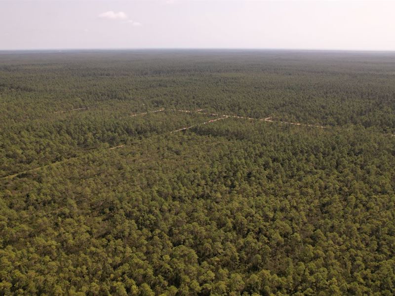 10 Acres in Brunswick County, NC : Boiling Spring Lakes : Brunswick County : North Carolina