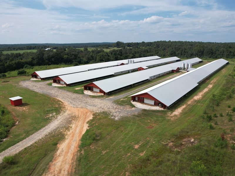 Breezy Bottom Mega Broiler Farm : Fort Valley : Crawford County : Georgia