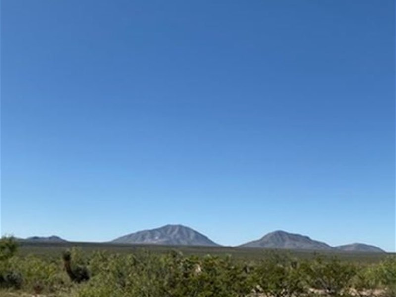 Perfect Homestead, 20 Ac $289/Mo : Sierra Blanca : Hudspeth County : Texas