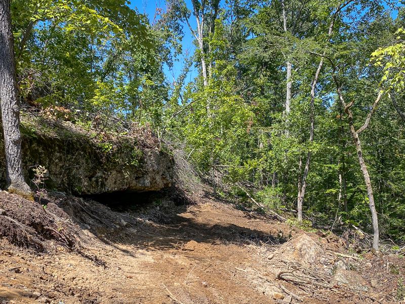 Year-Round Spring : Willow Springs : Howell County : Missouri