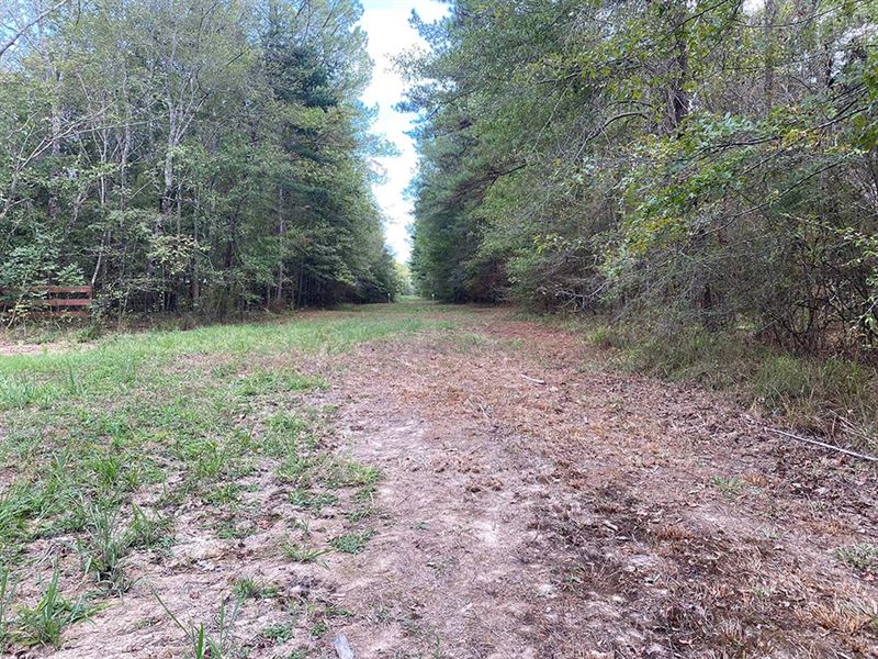 28.80 Acres in Simpson County, MS : Braxton : Simpson County : Mississippi