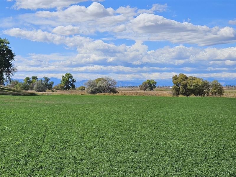 Blyler Farm & New Brantner Water : Fort Lupton : Weld County : Colorado