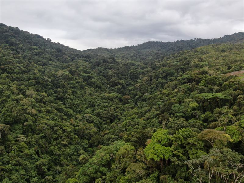 79 Acres with Waterfalls, Pasture : Cachi De Cartago : Costa Rica