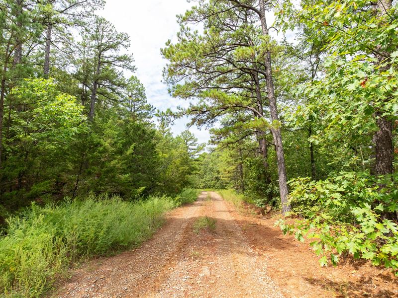 11.53 Acres in Latimer County, OK : Kinta : Latimer County : Oklahoma