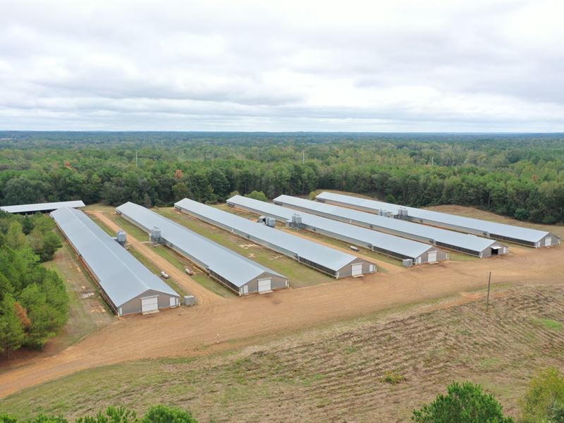 Gowan Broiler Farm : Carthage : Leake County : Mississippi