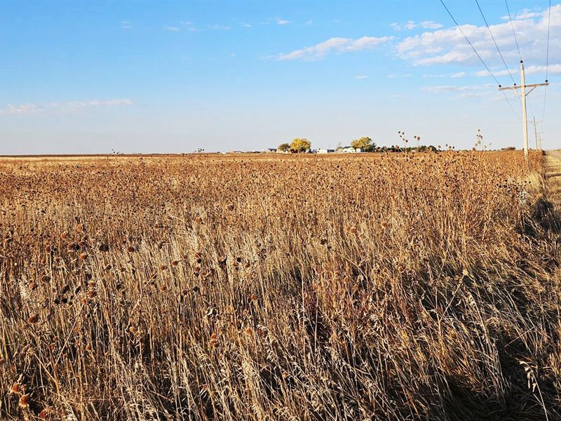 Barrett Crp : Sterling : Logan County : Colorado