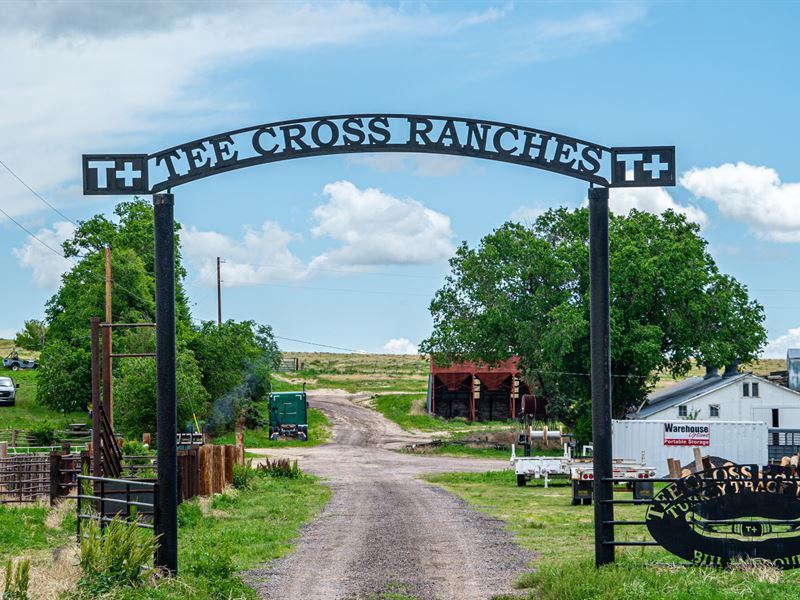 Tee Cross Ranch Squirrel Creek East : Colorado Springs : El Paso County : Colorado