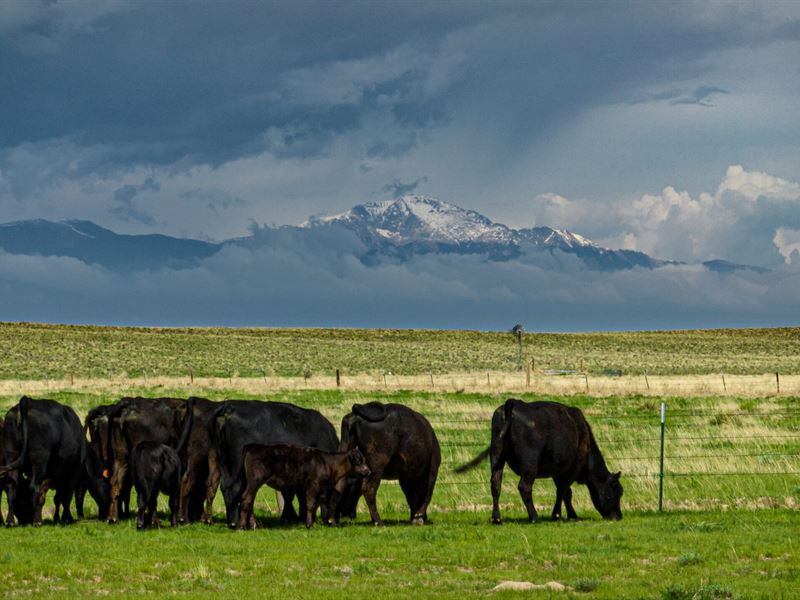 Tee Cross Ranch West Unit, Ranch for Sale in Colorado, #362516 : RANCHFLIP