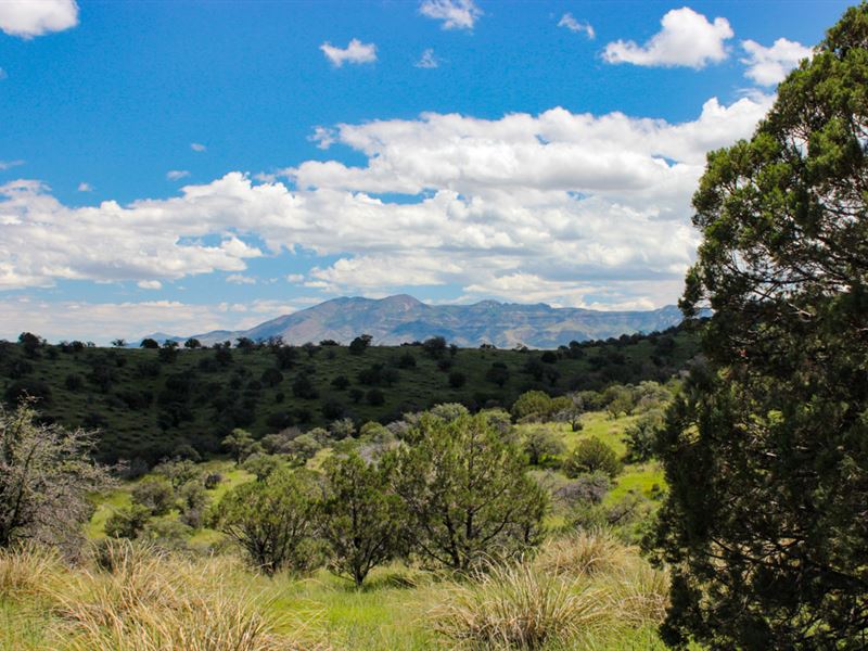 Midbar Ranch : Animas : Hidalgo County : New Mexico