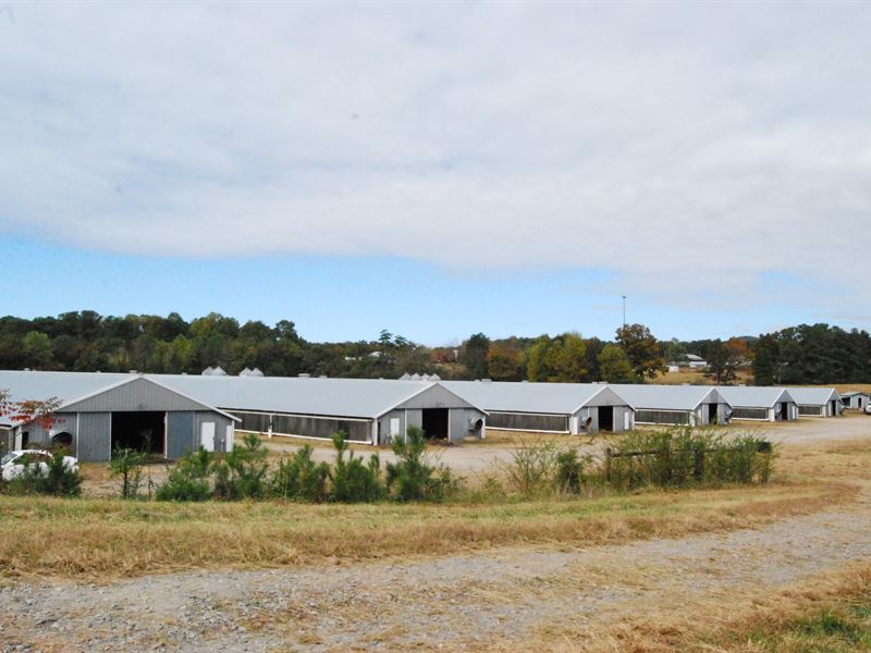 Farm with 6 Broiler Houses 40'X500' : Dawsonville : Dawson County : Georgia