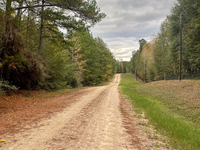 13 Acres, 425 Piney Creek Subd : Corrigan : Polk County : Texas