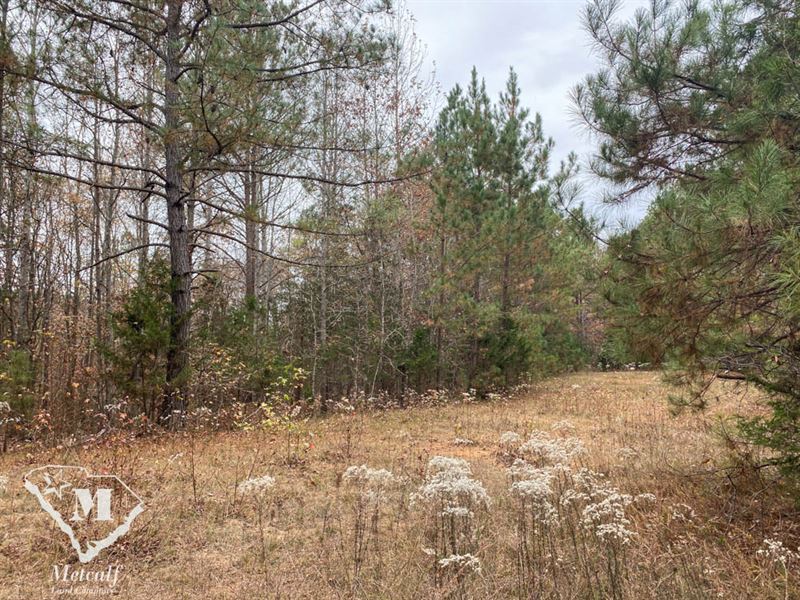 77.4 +/- Wooded Acres Near Pauline : Pauline : Spartanburg County : South Carolina