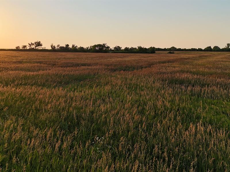 158 Acres Wabaunsee County, KS : Alta Vista : Wabaunsee County : Kansas