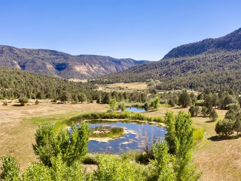 Weber Creek Ranch : Mancos : Montezuma County : Colorado