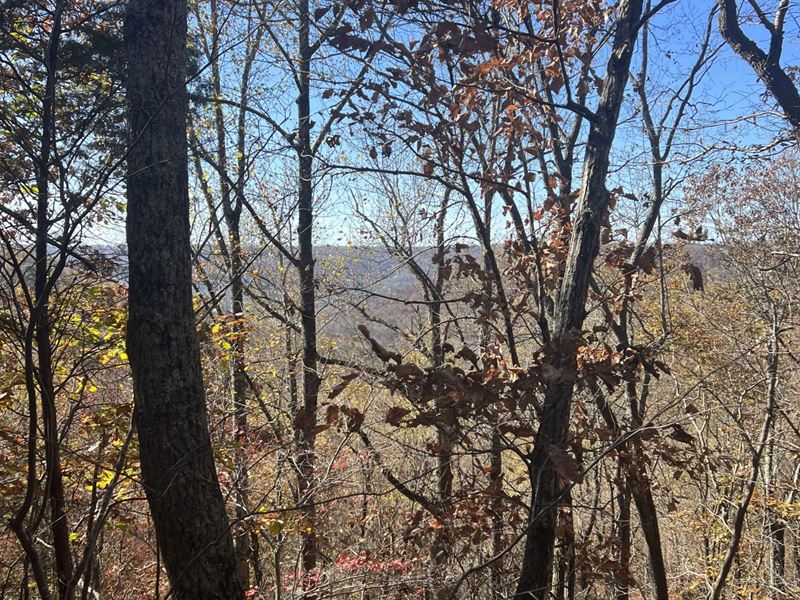 300 Acres in Grant : Grant : Marshall County : Alabama