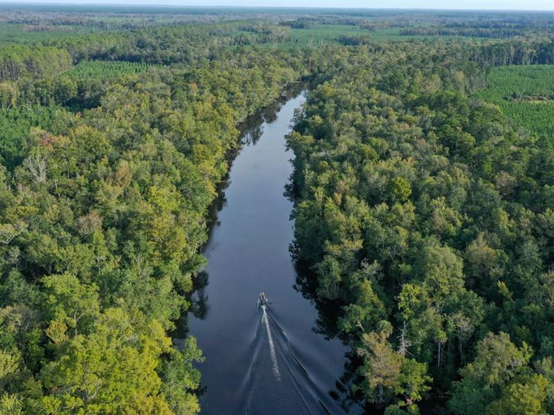 Old Magnolia East : Crawfordville : Wakulla County : Florida