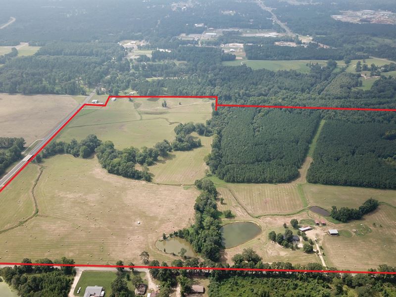 158 Acre Multi-Purpose Farm : Warren : Bradley County : Arkansas