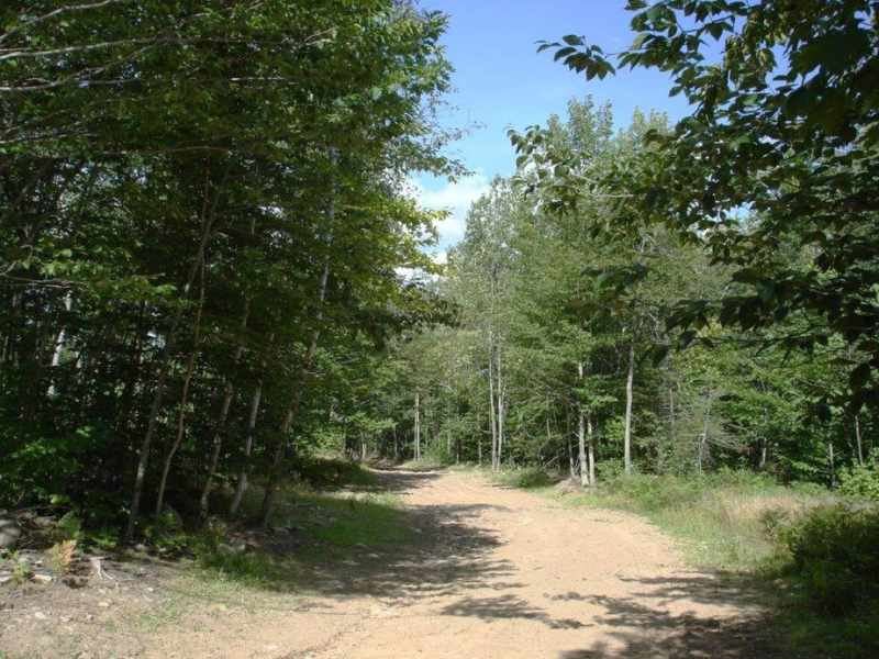 Wilmington Range Forest : Black Brook : Clinton County : New York