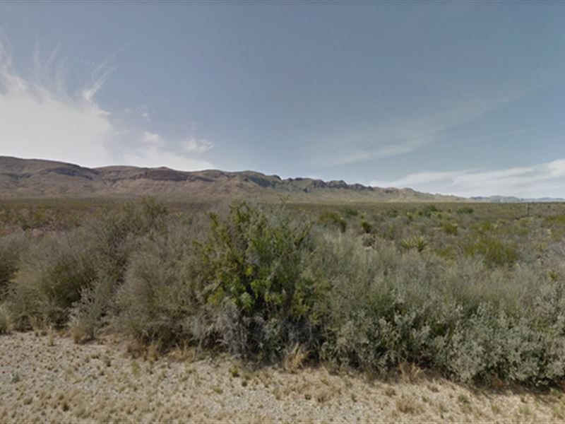 Freedom with Amenities : Alpine : Brewster County : Texas