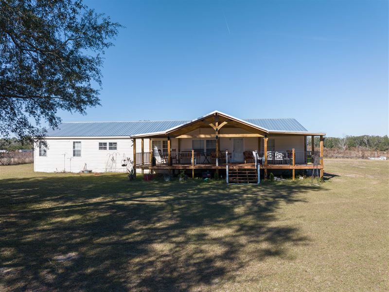 Tranquil Countryside : Live Oak : Suwannee County : Florida