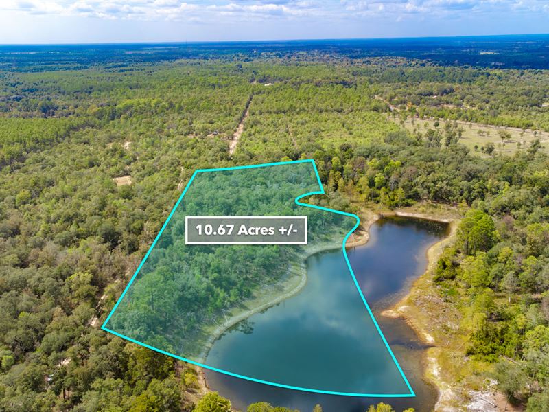 Wooded Lot, Pond, Power & Paved Rd : Vernon : Washington County : Florida