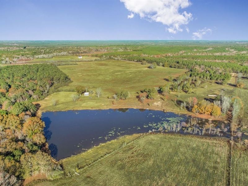 Mississippi Farm and Homestead Land : Beaumont : Perry County : Mississippi