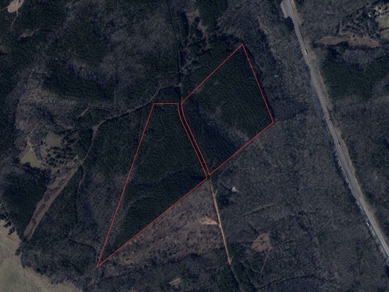 Wooded Acreage : Enoree : Spartanburg County : South Carolina