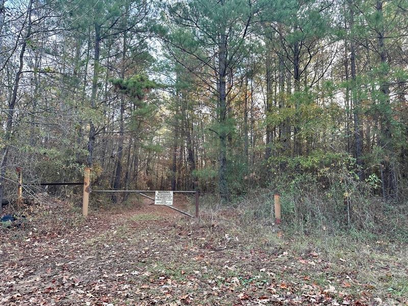 200 Acres Hunting and Timberland : Clarks : Caldwell Parish : Louisiana