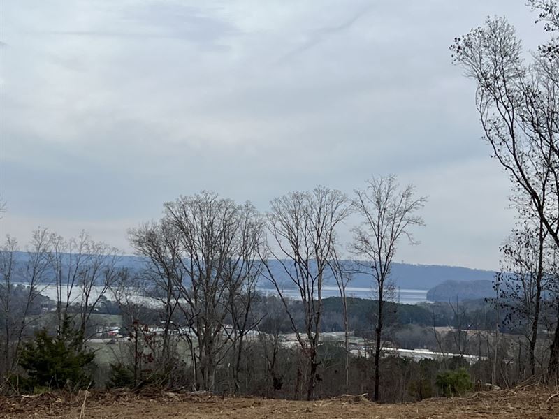 Honeycomb Lake View Property : Guntersville : Marshall County : Alabama