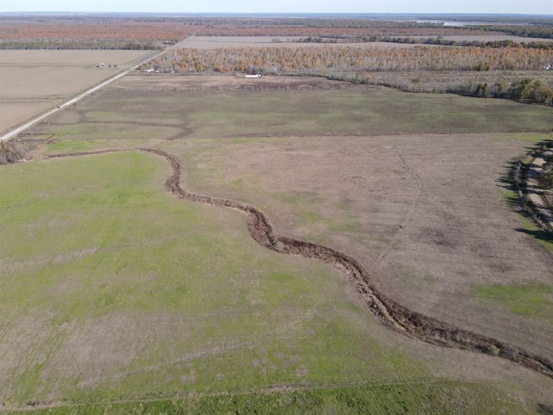 La, Concordia Thornton 108 Acres : Monterey : Concordia Parish : Louisiana