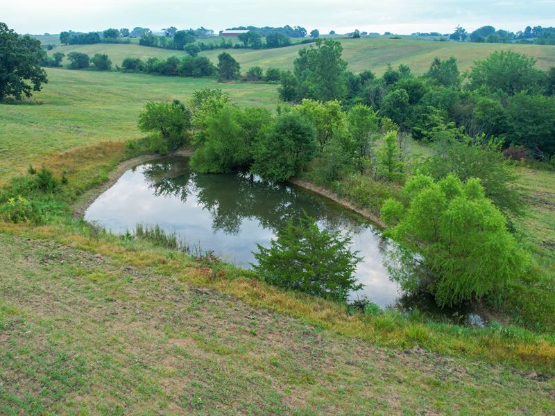 Mercer County Farm and Hunt : Princeton : Mercer County : Missouri