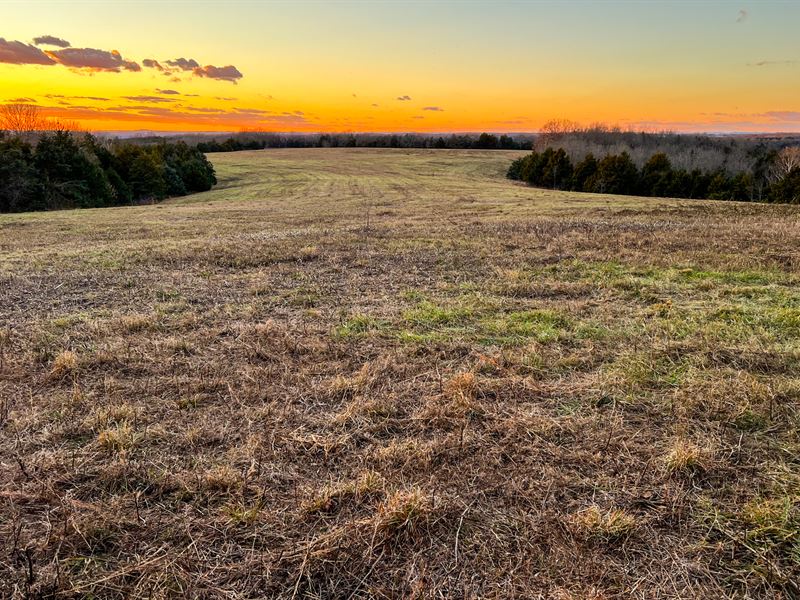 Barren Fork Ranch : Gainesville : Ozark County : Missouri