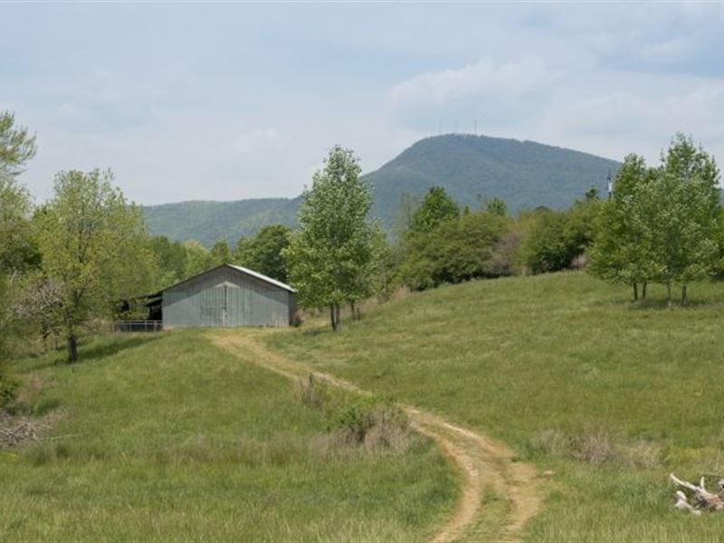 North Georgia Farm : Clermont : Hall County : Georgia