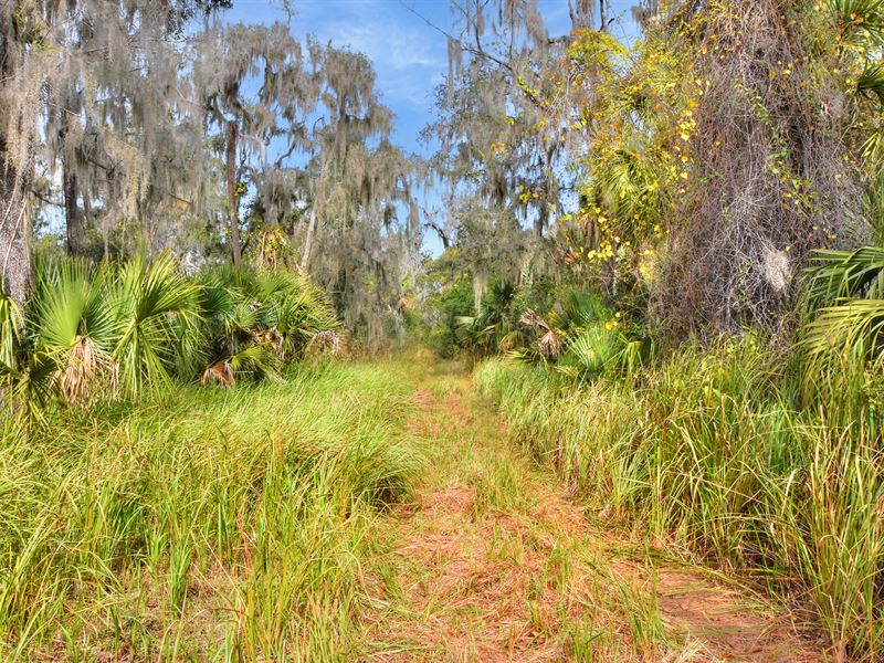 E Keysville Wooded Homesites Lot 1 : Lithia : Hillsborough County : Florida