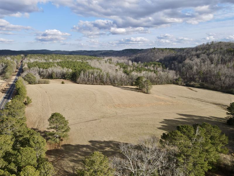 29 Acres with Pasture : Talladega : Clay County : Alabama