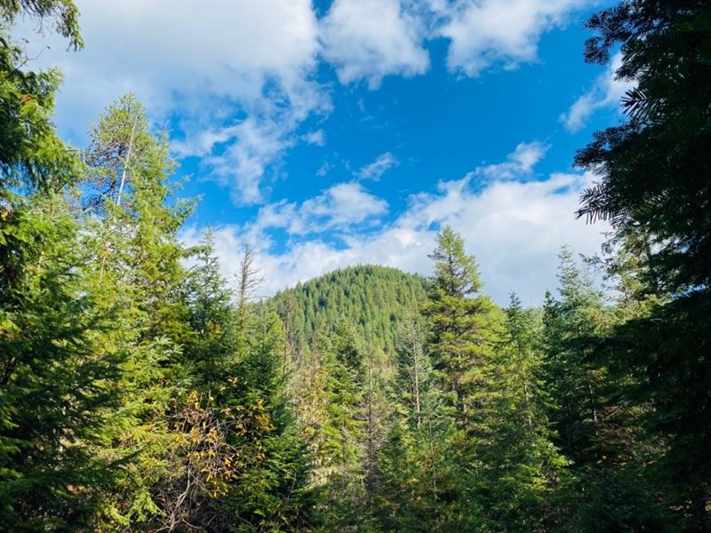 Secluded & Private Pilgrim Creek : Noxon : Sanders County : Montana