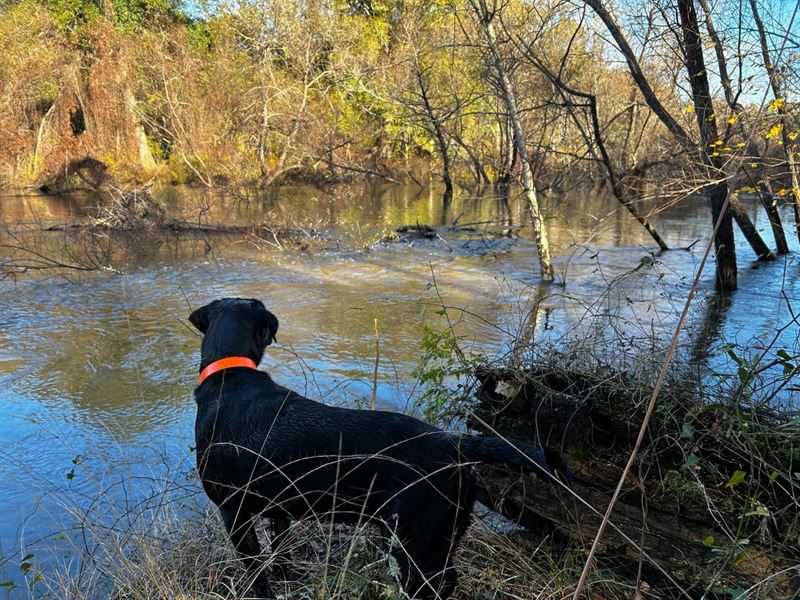 Ochlockonee River Place : Tallahassee : Leon County : Florida