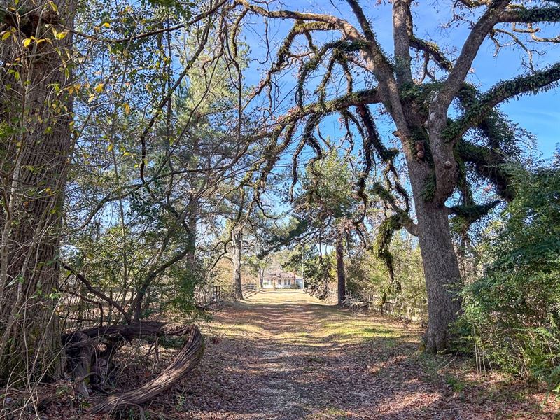 55 Acres 1469 Stubblefield Road : Lufkin : Angelina County : Texas