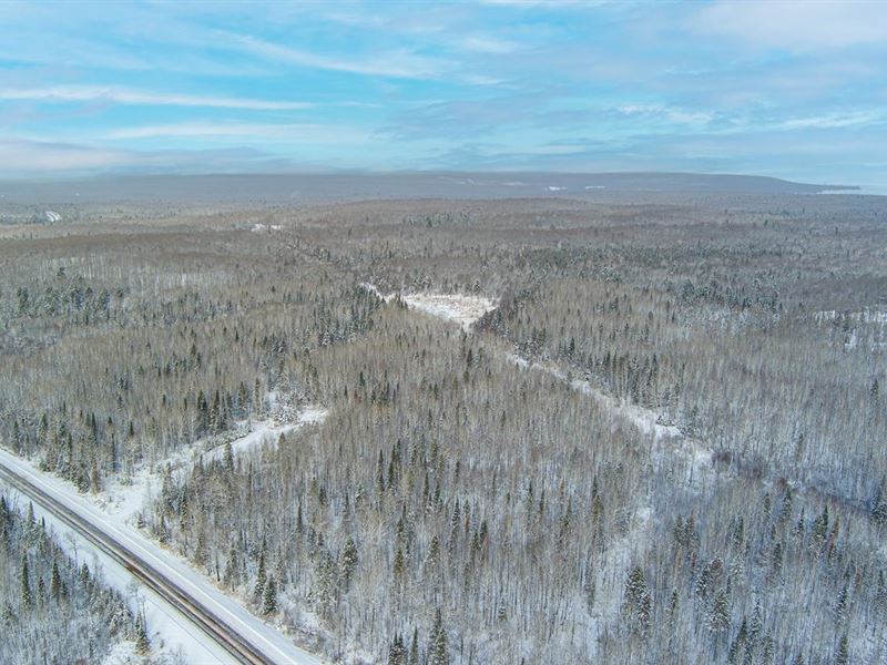 Ottawa Forest Acreage : Marenisco : Gogebic County : Michigan