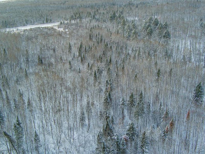 120 AC Ottawa Forest : Marenisco : Gogebic County : Michigan