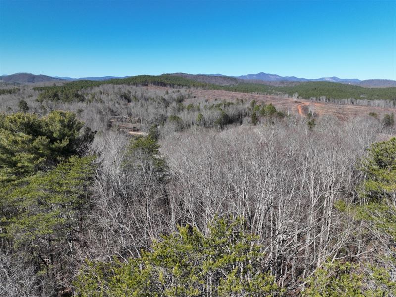 Wooded Acreage : Pickens : Pickens County : South Carolina