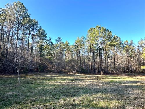 Alabama Ranches for Sale : Page 6 of 37 : RANCHFLIP